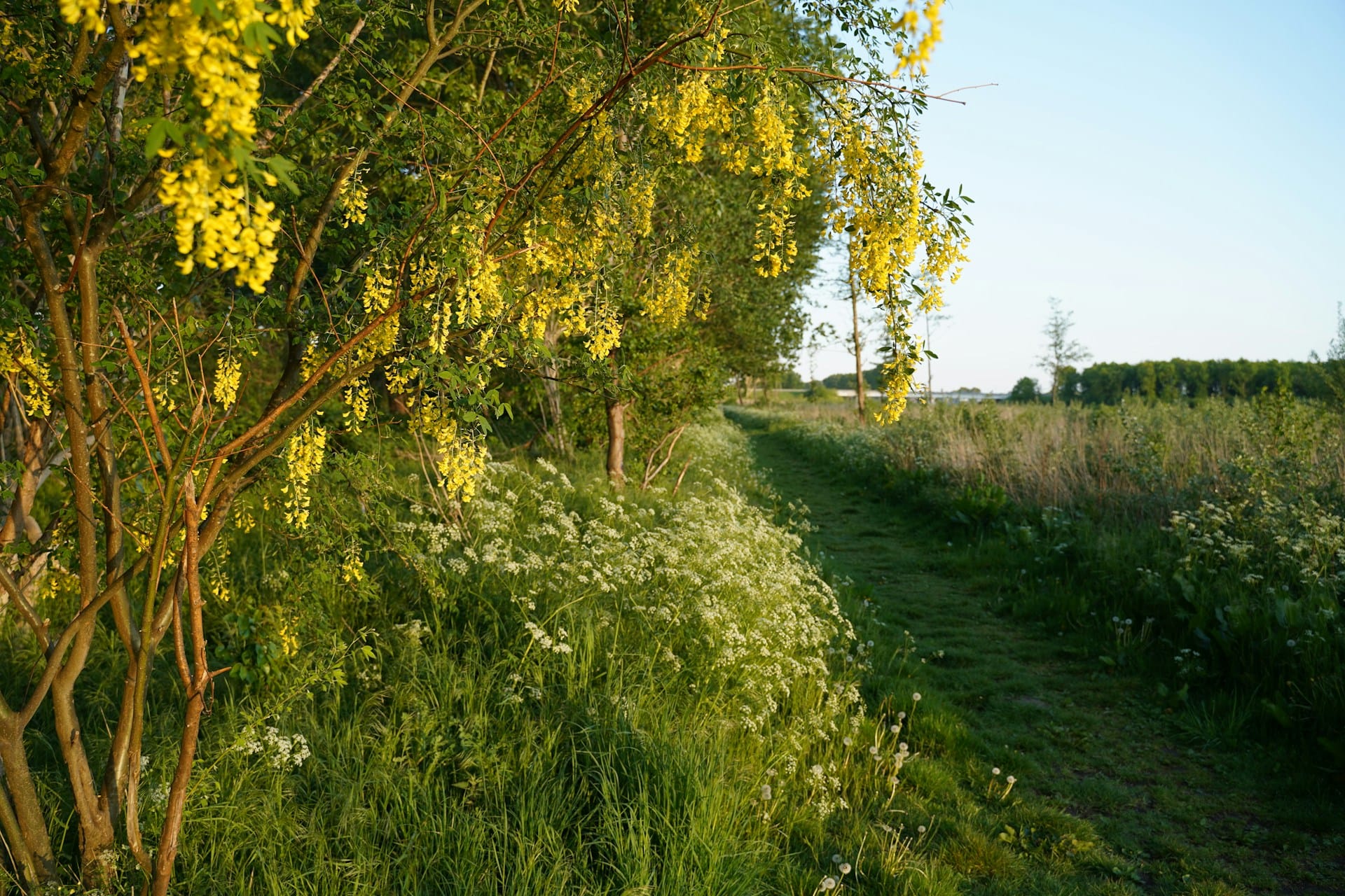 Natuur
